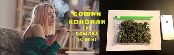 стаф Баксан