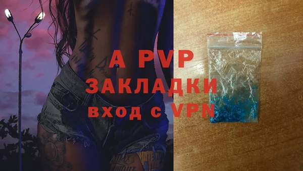 стаф Баксан