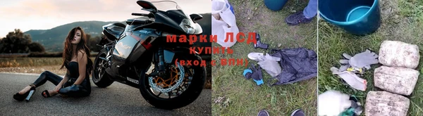 стаф Баксан